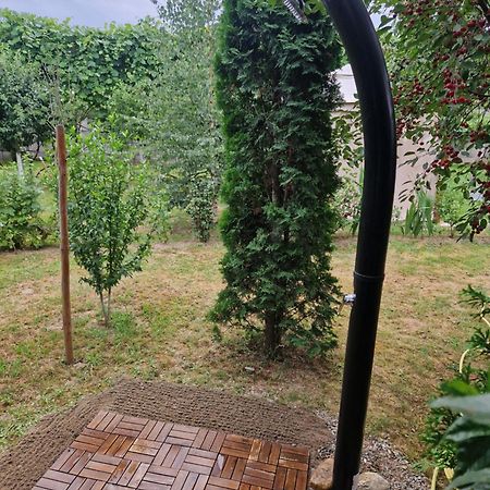 Dragus Casa Hariton 빌라 외부 사진