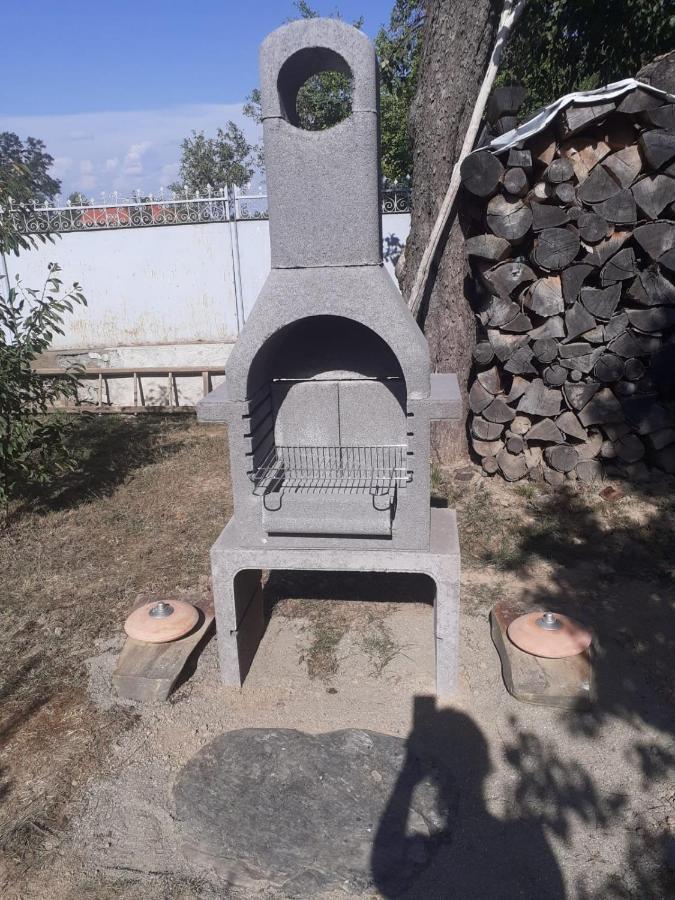 Dragus Casa Hariton 빌라 외부 사진