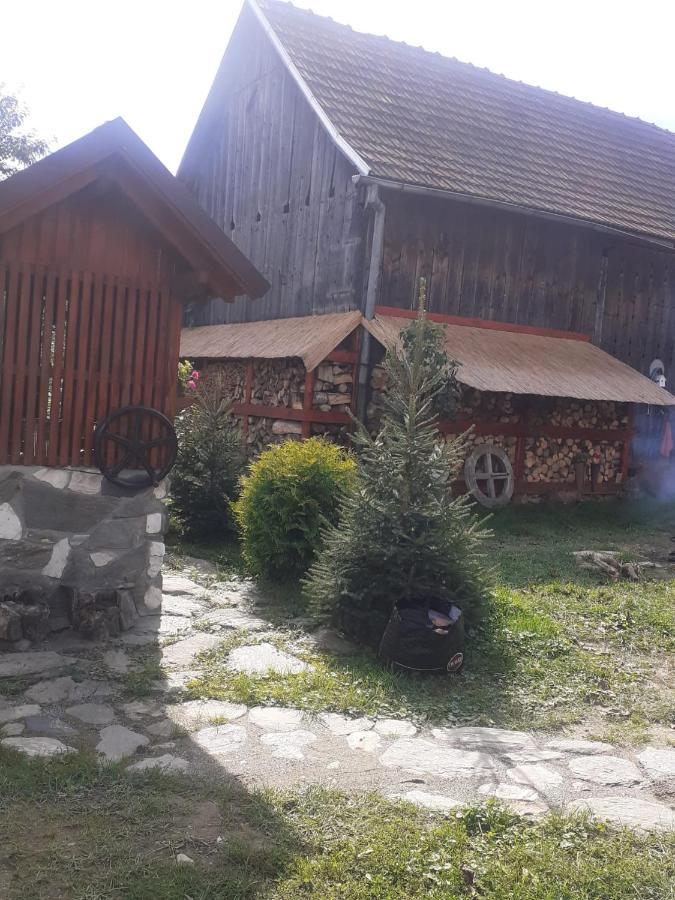 Dragus Casa Hariton 빌라 외부 사진
