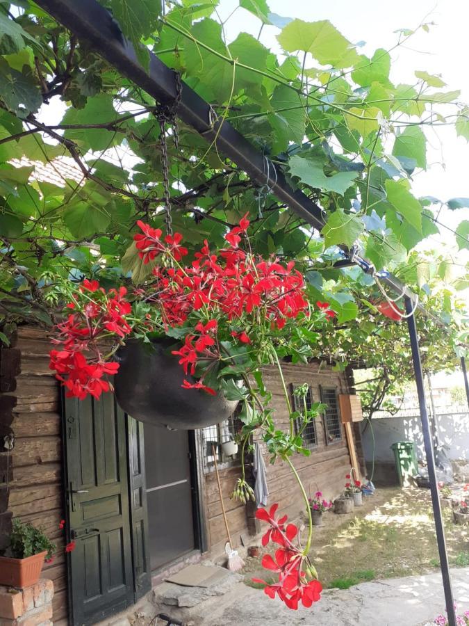 Dragus Casa Hariton 빌라 외부 사진