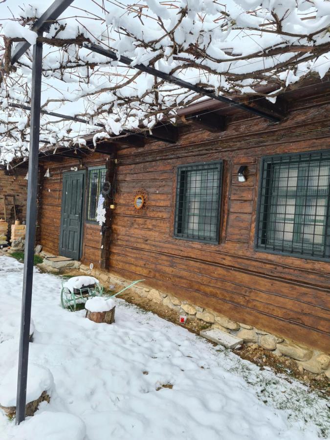 Dragus Casa Hariton 빌라 외부 사진