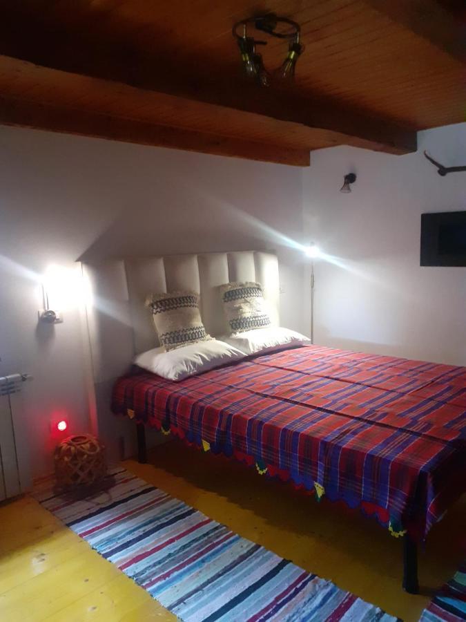 Dragus Casa Hariton 빌라 외부 사진