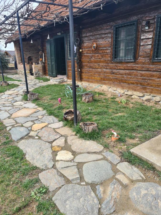 Dragus Casa Hariton 빌라 외부 사진