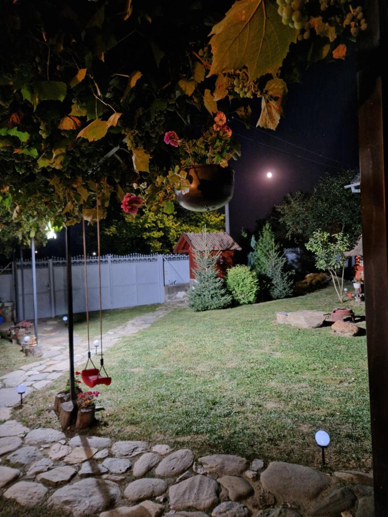 Dragus Casa Hariton 빌라 외부 사진