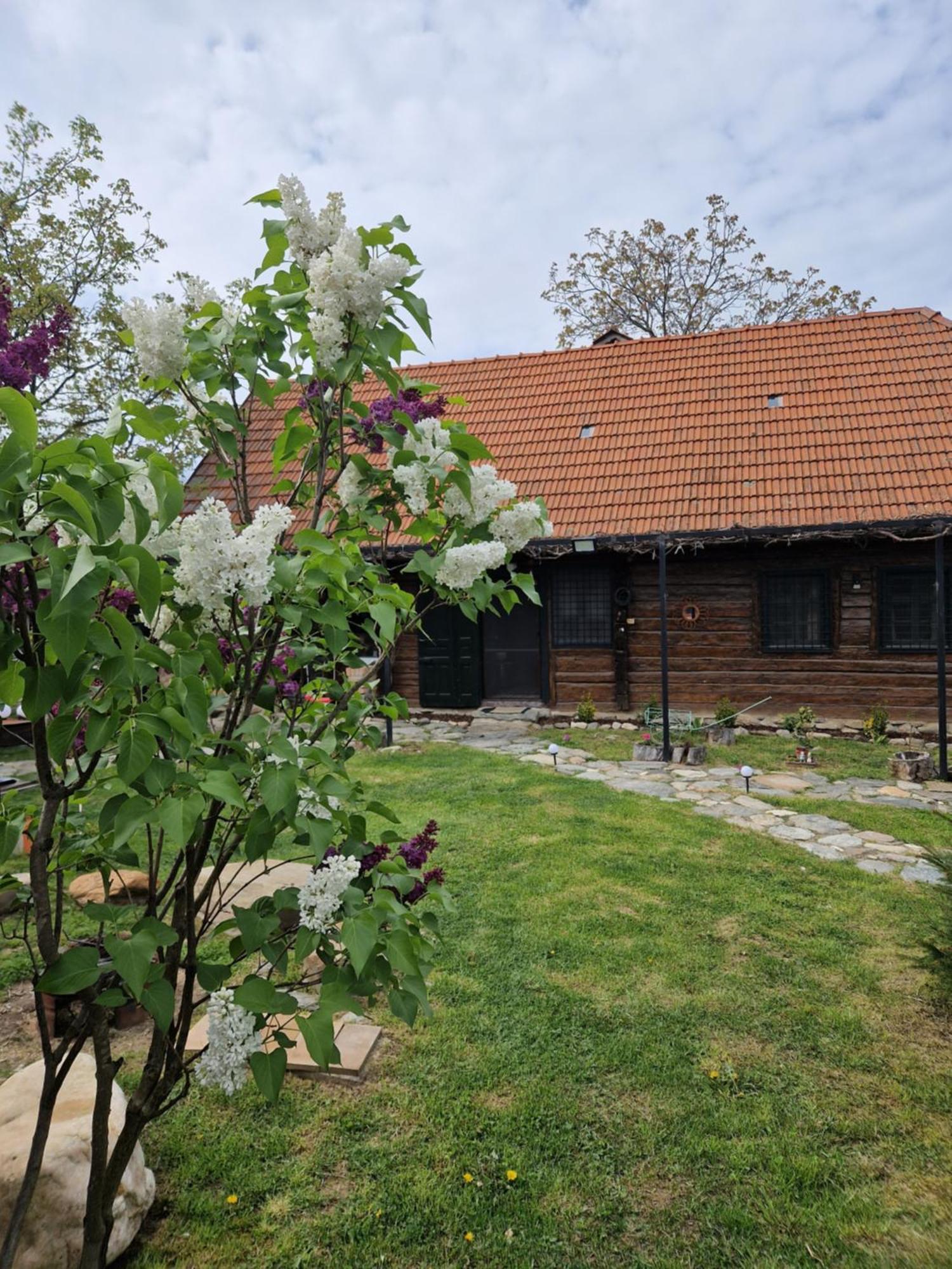 Dragus Casa Hariton 빌라 외부 사진